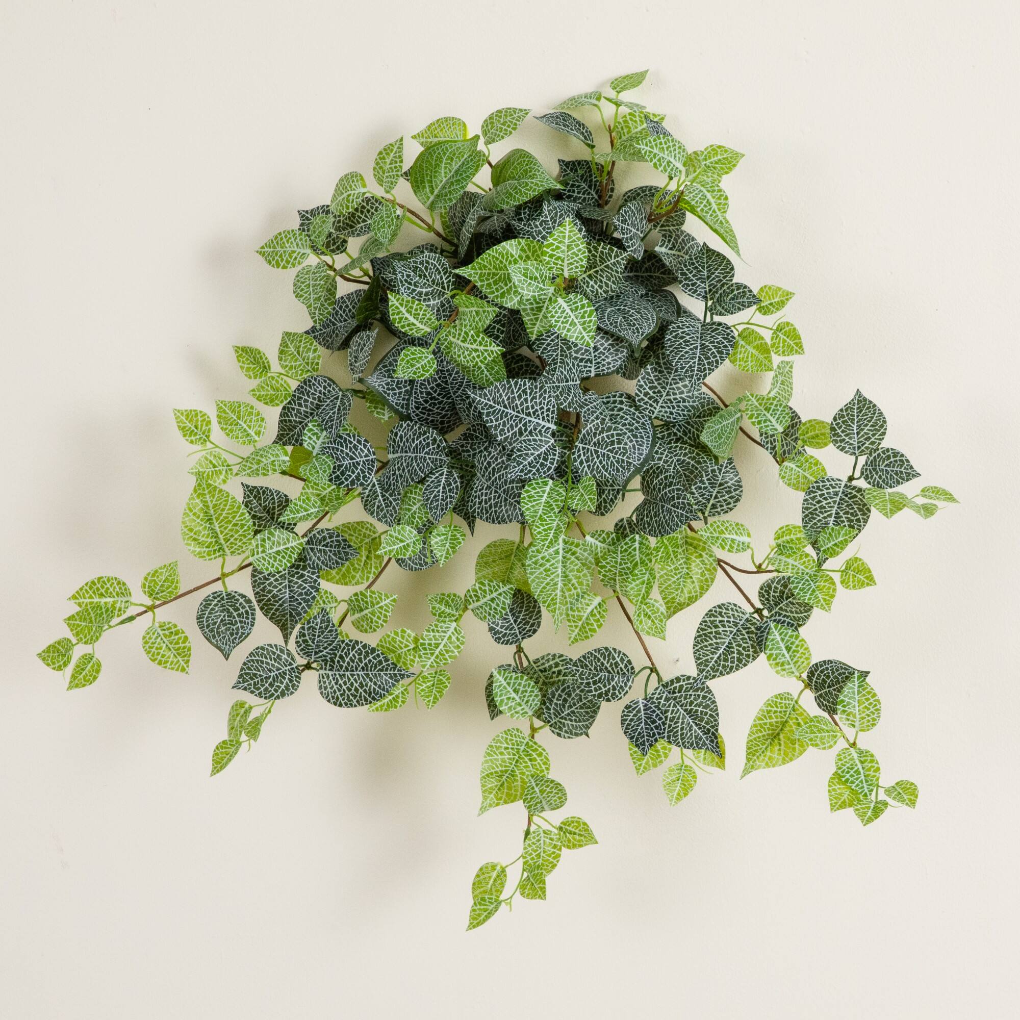 24" UV Resistant Artificial Fittonia Hanging Plant (Indoor/Outdoor) - Set of 3